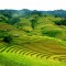 ADVENTURE TO NORTHERN VIETNAM 7 DAYS 6 NIGHTS from  353 USD/person only