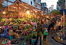 VIETNAM FAMILY TOUR 12 DAYS 11 NIGHTS from 480 USD/person only
