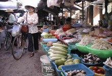 VIETNAM CULINARY DISCOVERY TOUR 11 DAYS 10 NIGHTS from 450 USD/person only