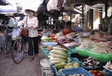 VIETNAM CULINARY DISCOVERY TOUR 11 DAYS 10 NIGHTS from 450 USD/person only