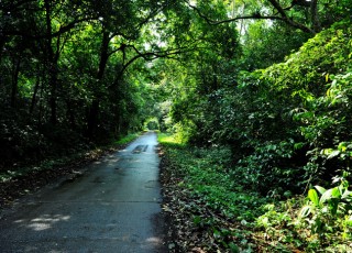 NINHBINH MOTORBIKE TOUR 3 DAYS 2 NIGHTS