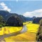 Tamcoc at harvesting time. HIGHTLIGHTS OF VIETNAM 13 DAYS 12 NIGHTS from 520 USD/person only.