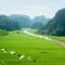GREEN RICE PADDY IN TAM COC CUCPHUONG NATIONAL PARK - TRANGAN - CYCLING IN TAMCOC 2 DAYS