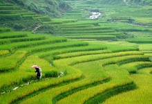 HANOI - SAPA - HALONG PACKAGE TOUR 5 DAYS 4 NIGHTS - from 210 USD/person only