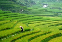 HANOI - SAPA - HALONG PACKAGE TOUR 5 DAYS 4 NIGHTS - from 210 USD/person only