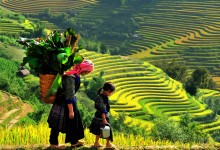HANOI - HALONG (2 DAYS 1 NIGHT) - SAPA (2 DAYS 1 NIGHT) - NINHBINH 7 DAYS 6 NIGHTS - from 389 USD/person