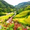 COLOURFUL SAPA VIETNAM ESSENCE TOUR 15 DAYS 14 NIGHTS from 850 USD/person only