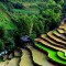 SIEM REAP & NORTH VIETNAM 9 DAYS 8 NIGHTS
